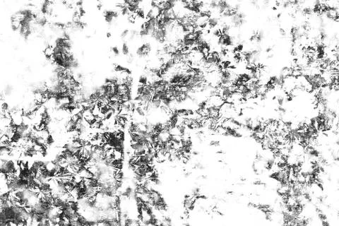 Grunge Black and White Texture. Abstract monochrome background. Illustrazione stock