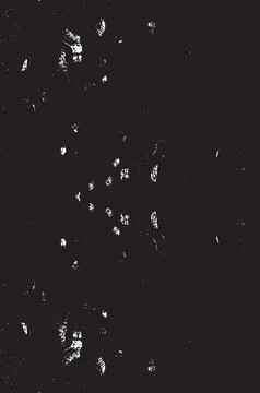 Grunge Black And White Vector Texture. Dark Dust Overlay Distress Background Illustrazione stock