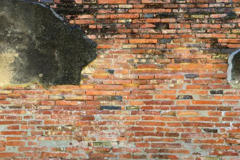 Grunge brick wall Foto stock