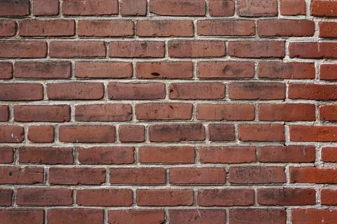 Grunge brick wall Stock Photos