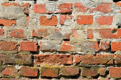 Grunge brick wall Stock Photos