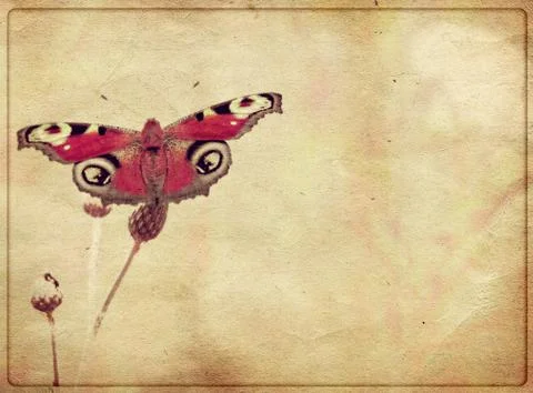 Grunge butterfly Stock Illustration