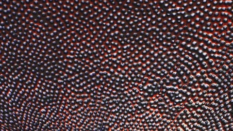 Grunge button pattern tile mesh form texture Stock Footage 171104837