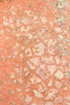 Grunge cement wall. Stock Photos