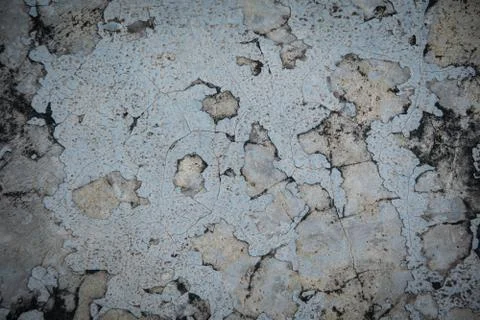 Grunge concrete  background texture Stock Photos