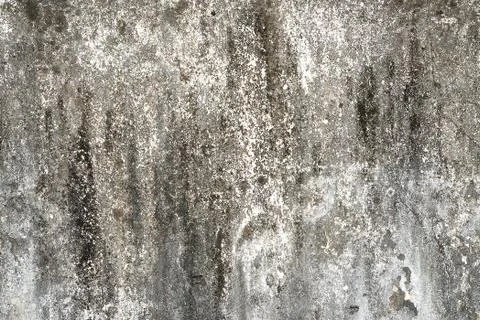 Grunge concrete wall Stock Photos