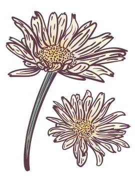 Grunge daisy flower Stock Illustration