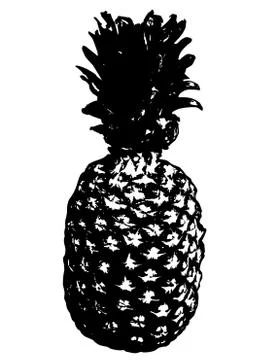 Grunge detailed pineapple イラスト素材