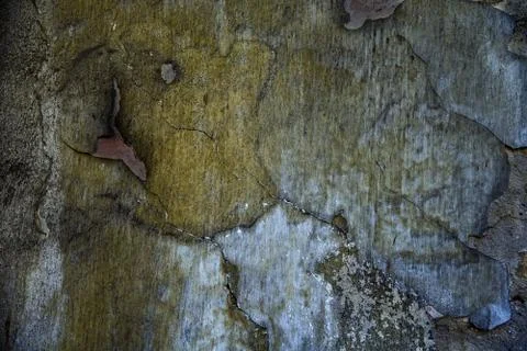 Grunge dirty  wall background in various colors.  Worn  texture. Stock Photos