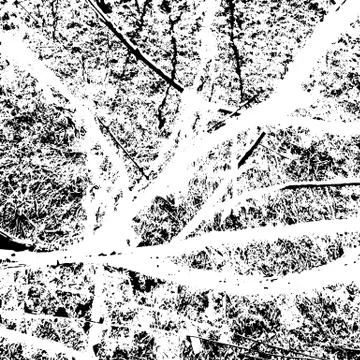 Grunge distress texture.Vector abstract background Stock Illustration