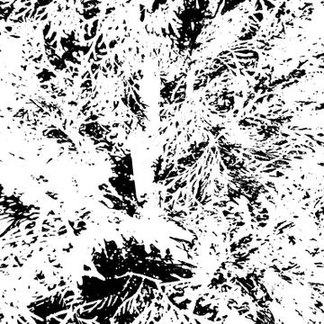 Grunge distress texture.Vector abstract background Illustrazione stock