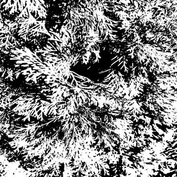 Grunge distress texture.Vector abstract background Stock Illustration