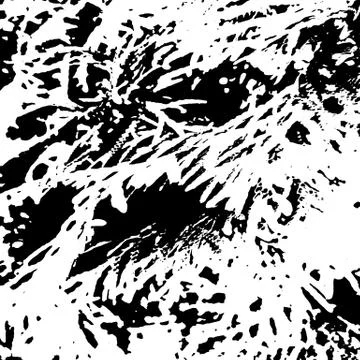 Grunge distress texture.Vector abstract background Stock Illustration