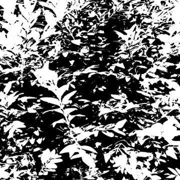 Grunge distress texture.Vector abstract background Stock-Illustration