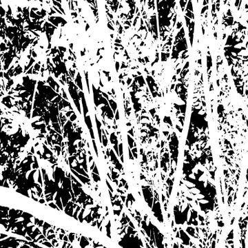 Grunge distress texture.Vector abstract background Stock Illustration