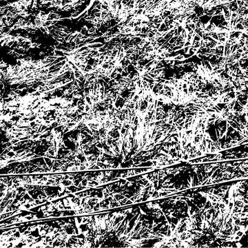 Grunge distress texture.Vector abstract background Stock Illustration