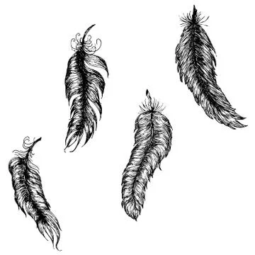 Grunge feathers design Stockillustratie