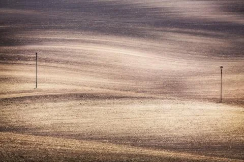 Grunge field waves background Stock Photos