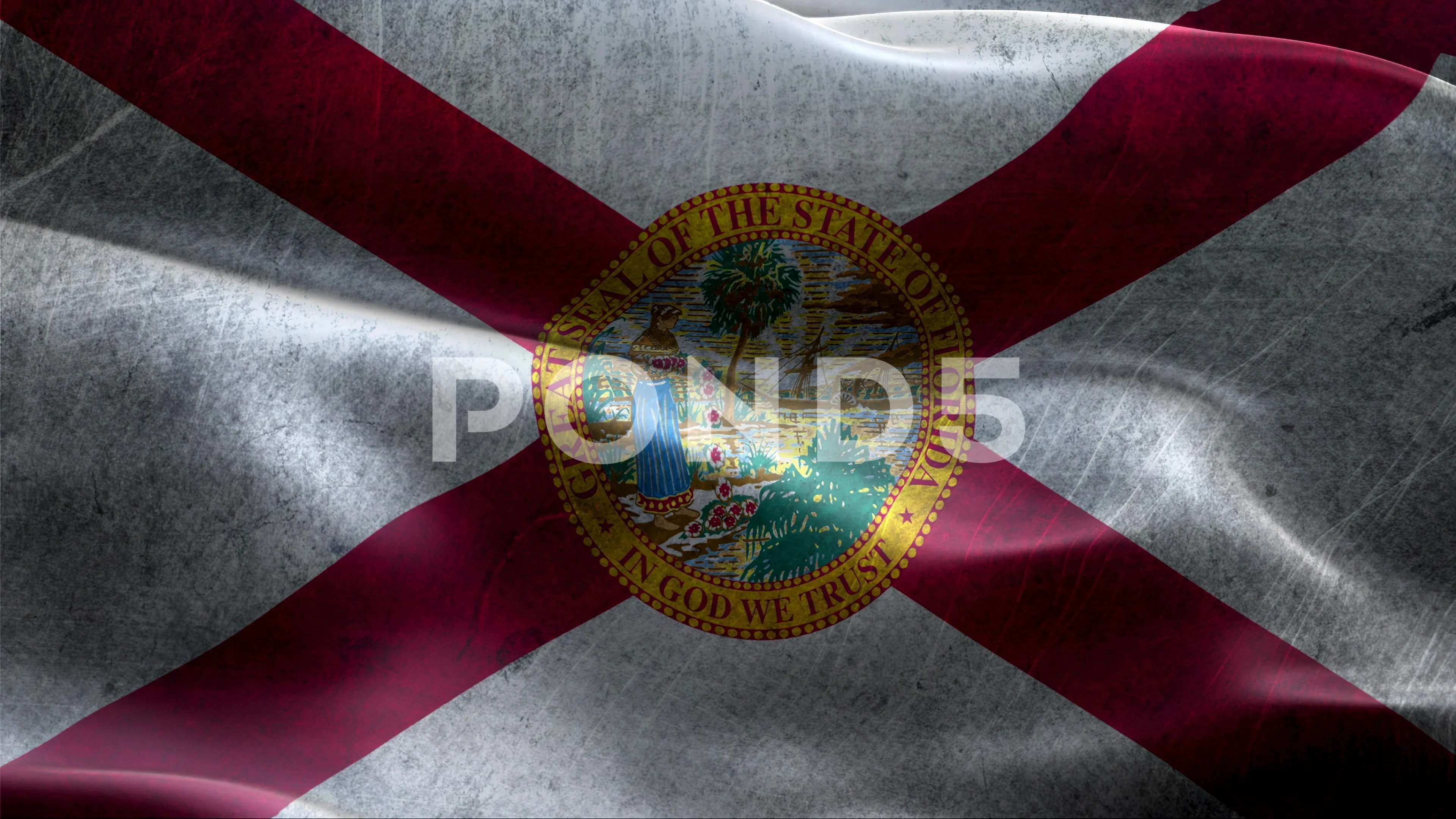 THE ORIGINAL FLORIDIAN FLORIDA STATE FLAG 60X35  Florida Cracker Trading  Company