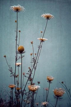 Grunge Flowers Background Stock Photos
