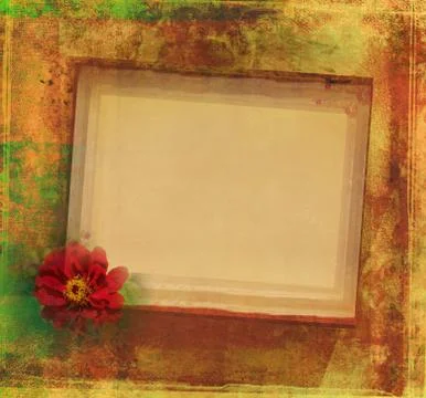 Grunge frame for congratulation with flower Stock Illustration