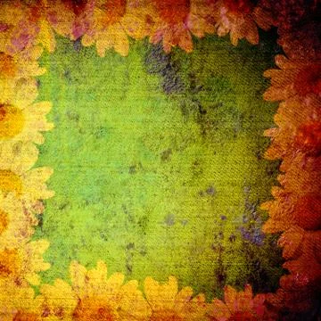 Grunge frame daisies Stock Photos