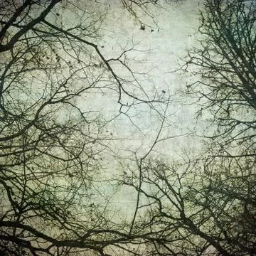 Grunge frame with tree silhouettes Foto stock