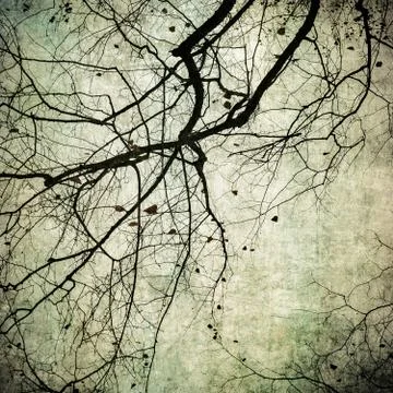 Grunge frame with tree silhouettes Stock Photos