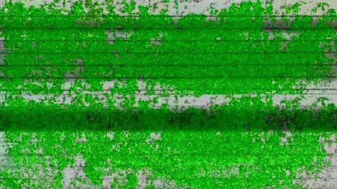 grunge glitchy green VHS static noise ov... | Stock Video | Pond5