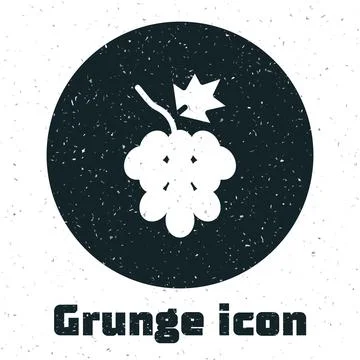 Grunge Grape fruit icon isolated on white background. Monochrome vintage drawing Ilustración de archivo