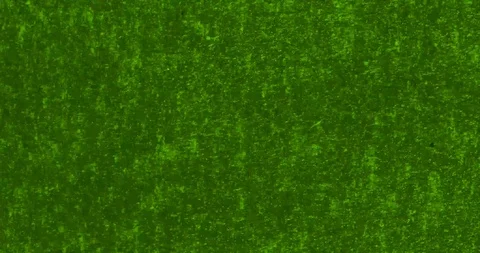 Grunge Green Stock Footage 112876062