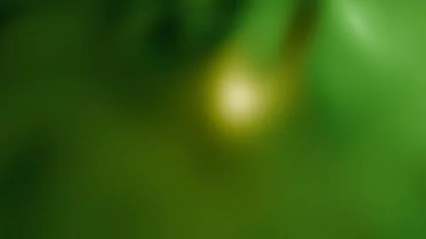 Grunge green ripple texture landscape abstract background Stock Footage 294580755