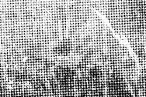 Grunge halftone dots vector texture overlay Stock Illustration