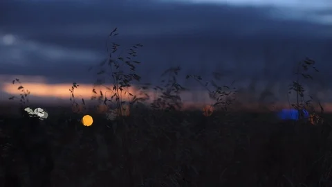 Grunge image of cloudy sky and grass, perfect halloween background 4k Stock-Footage 89591937