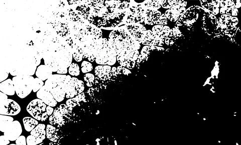 Grunge intertwined texture, threads, lines, wire, veins, monochrome. Grunge o Stock Illustration