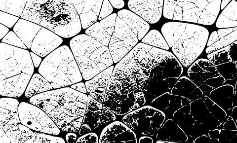 Grunge intertwined texture, threads, lines, wire, veins, monochrome. Grunge o Stock Illustration