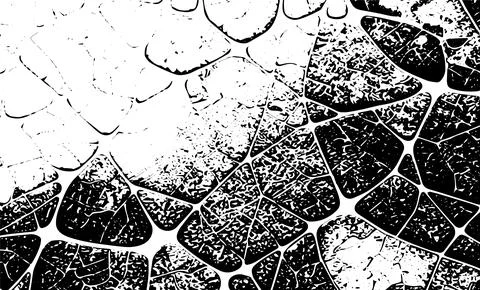 Grunge intertwined texture, threads, lines, wire, veins, monochrome. Grunge o Stock Illustration
