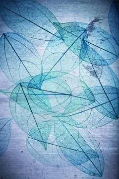 Grunge leaf background Stock Photos