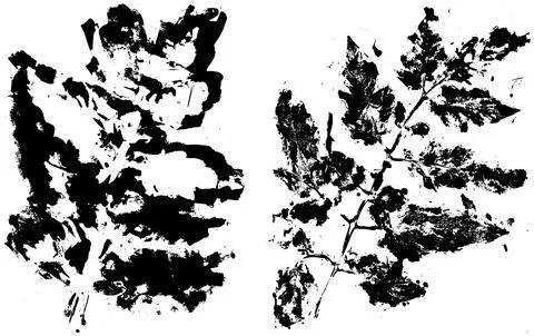 Grunge Leaf Texture Stamps in Black Ink Stock Illustration