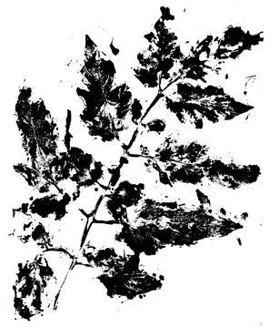 Grunge Leaf Texture Stamps in Black Ink Stock Illustration
