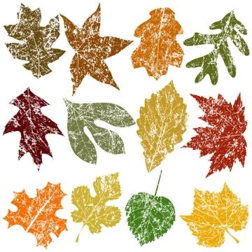 Grunge leaves Stock Illustration