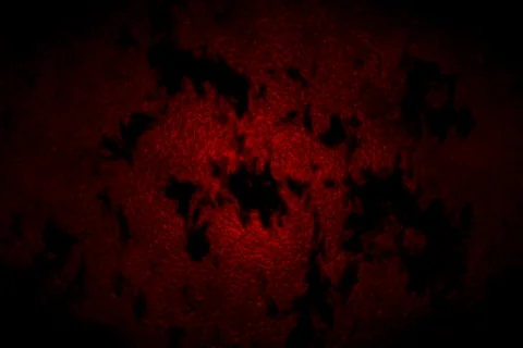 GRUNGE LINES 3 LOOP V1 Stock Footage 602098