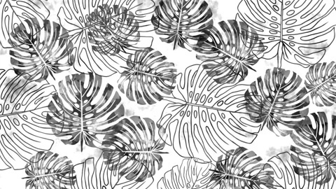 Grunge loop video. Monstera leaves rotating. Tropical video watercolor effect. Stock Footage 112016413