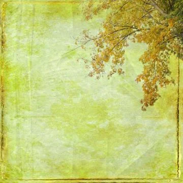 Grunge maple branches background Stock Illustration