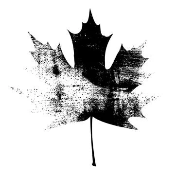 Grunge Maple Leaf - Black Stock Illustration