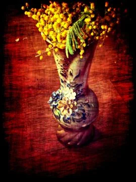 Grunge Mimosa Illustrazione stock