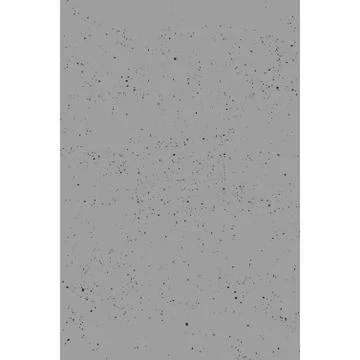 Grunge monochrome rough texture. Illustrazione stock