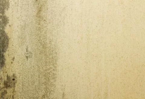 Grunge mould wall texture Stock Photos