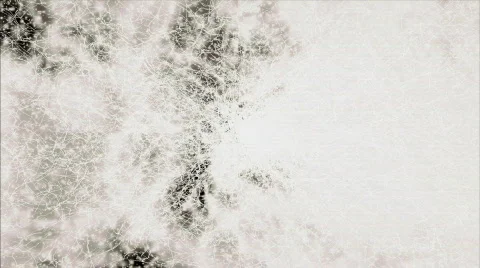 Grunge or wedding background Stock Footage 279781