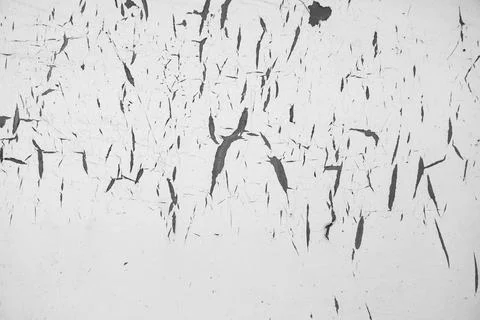 Grunge overlay layer. Abstract black and white vector background. Monochrome  Stock Photos